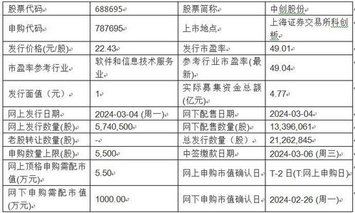 今日新股申購聚焦 美新科技與中創股份，基礎軟件服務領域迎新機遇
